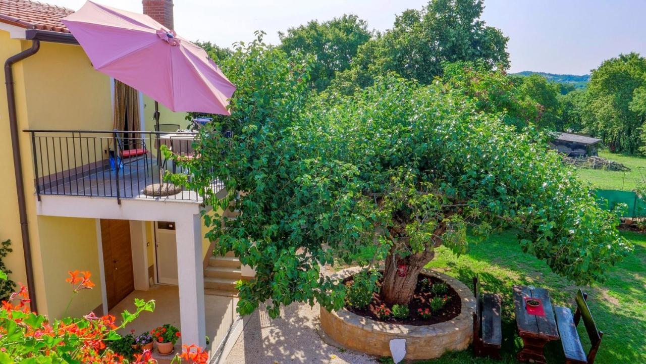 Studio Apartment Gianni Vizinada Екстер'єр фото