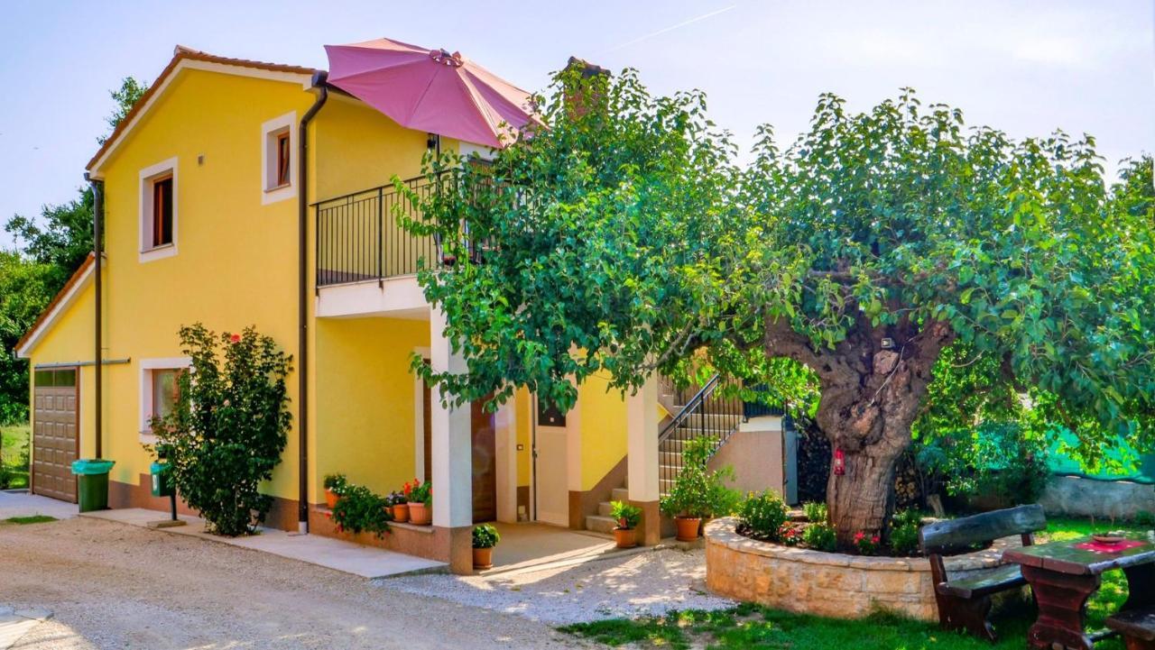 Studio Apartment Gianni Vizinada Екстер'єр фото